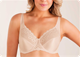 Triumph - Pure Luxury Support W